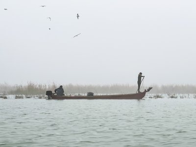 Iraqi Marshes
